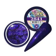 Color gel CLG PISCES art.2841